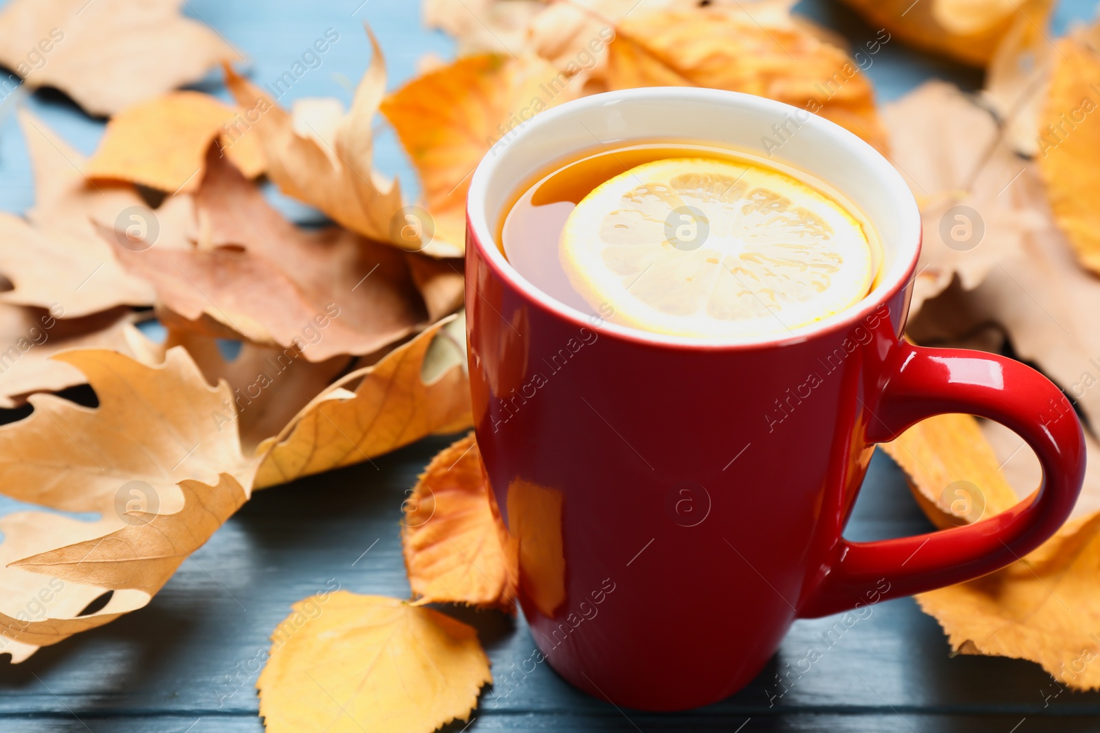 Photo of Cup of hot drink and leaves on blue wooden table. Cozy autumn atmosphere