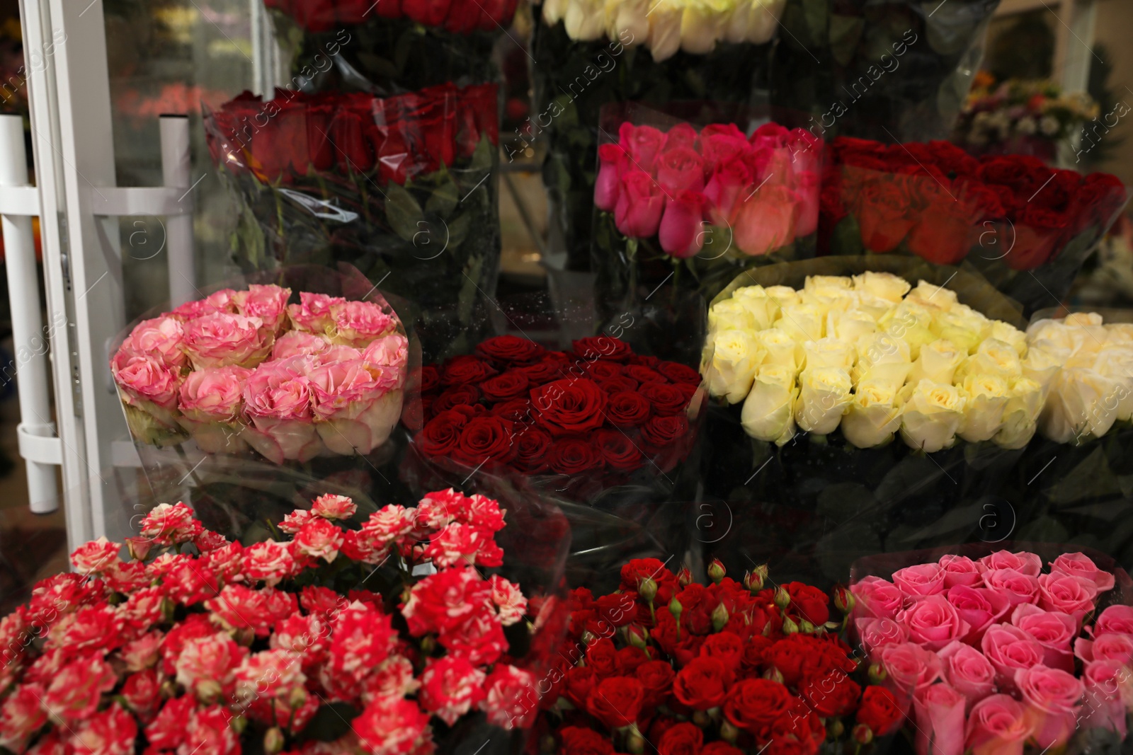 Photo of Assortment of beautiful flowers at wholesale market