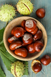 Photo of Horse chestnuts and leaf on blue wooden table, flat lay