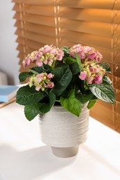 Beautiful pink hortensia flowers in vase on white table indoors