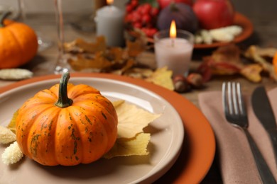 Photo of Beautiful autumn place setting and decor on table, closeup. Space for text