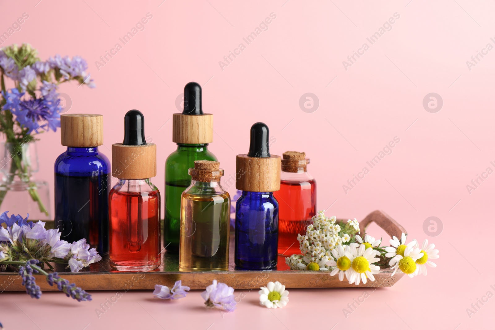 Photo of Aromatherapy. Different essential oils and flowers on pink background