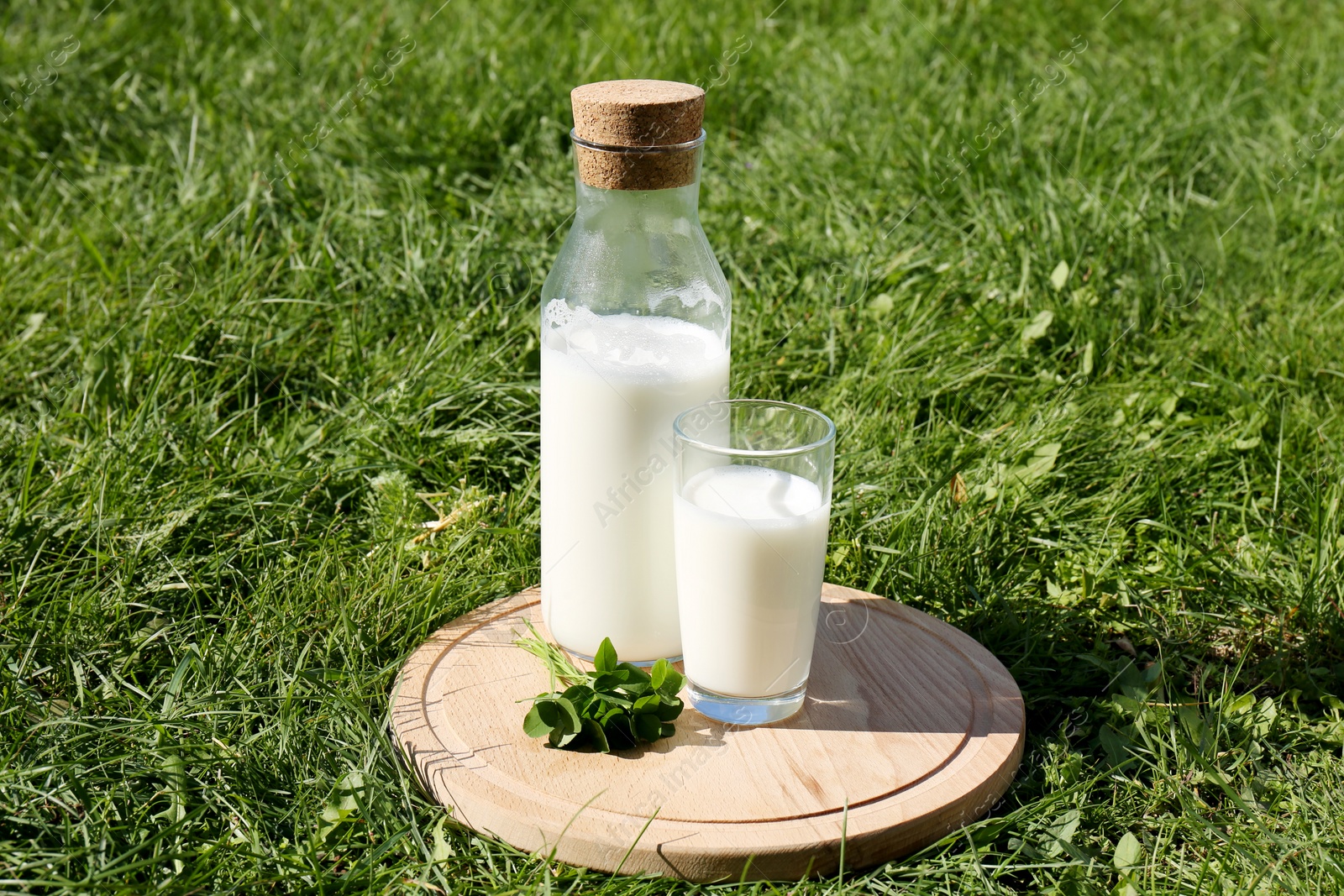 Photo of Glass and bottle of milk on wooden board outdoors