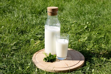 Photo of Glass and bottle of milk on wooden board outdoors