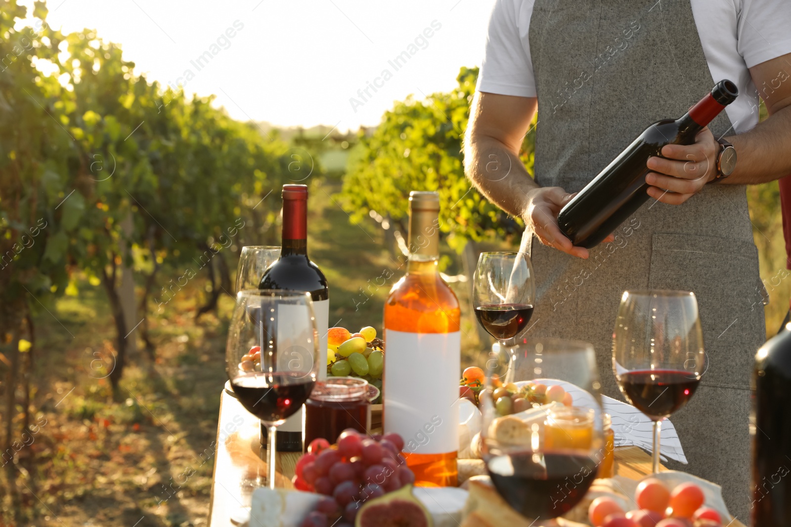 Photo of Young man holding bottle of wine in vineyard on sunny day, closeup