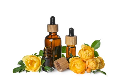 Photo of Bottles of rose essential oil and flowers on white background