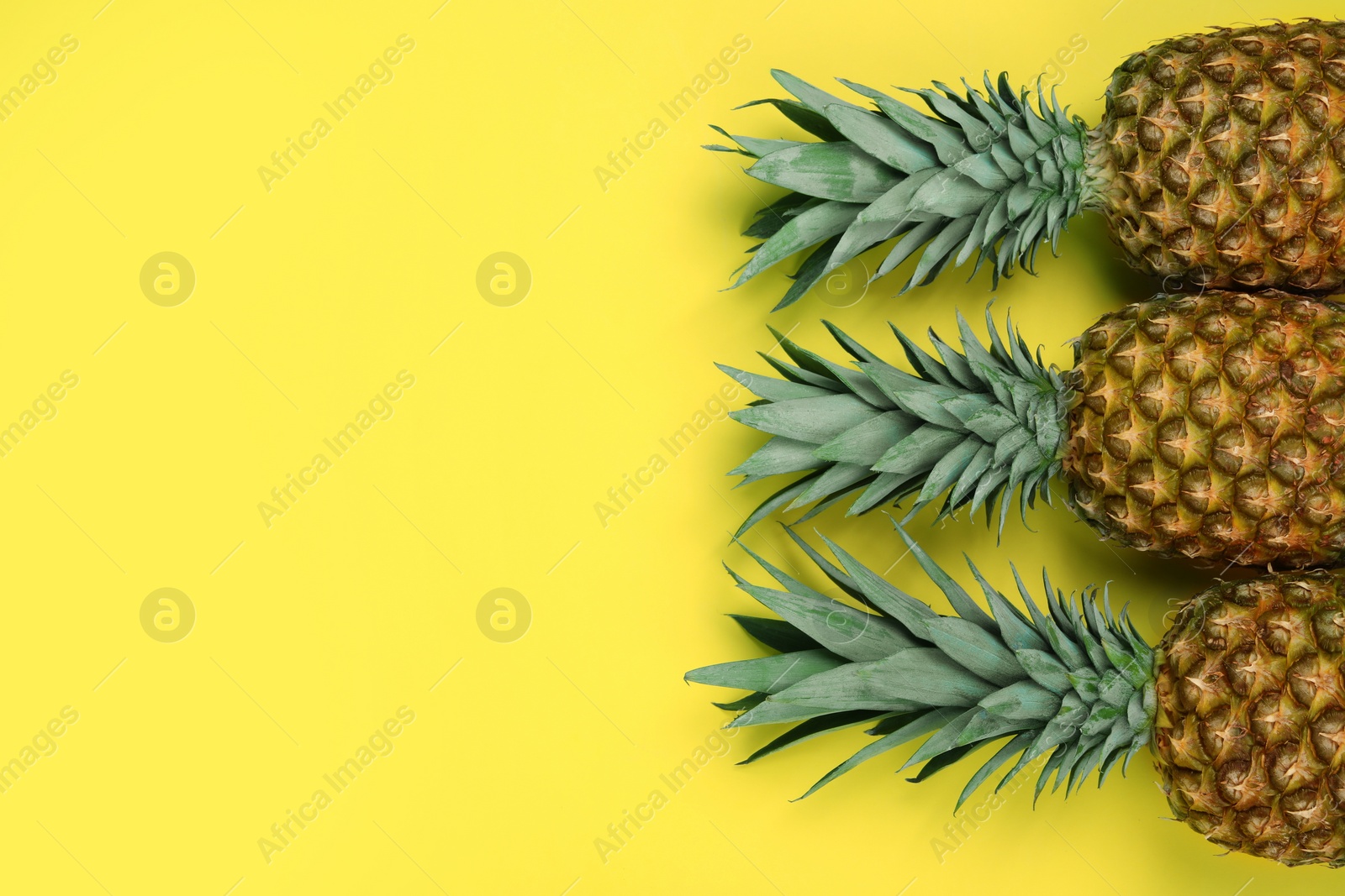 Photo of Whole ripe pineapples on yellow background, flat lay. Space for text