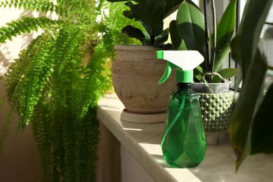 Photo of Beautiful houseplants in pots and spray bottle on windowsill indoors. House decor