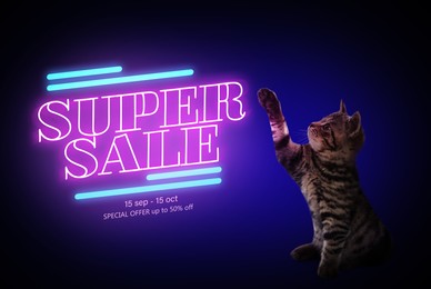 Image of Advertising poster Pet Shop SALE. Cute cat and discount offer on dark background