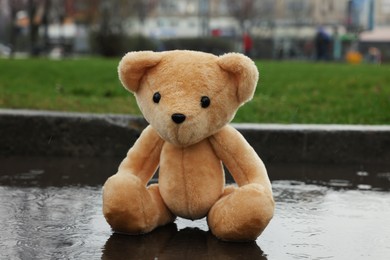 Lonely teddy bear in puddle on rainy day