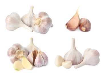 Image of Set with garlic bulbs and cloves on white background