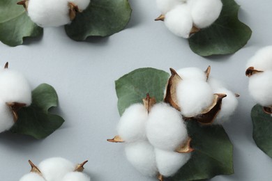 Photo of Cotton flowers and eucalyptus leaves on light grey background, above view