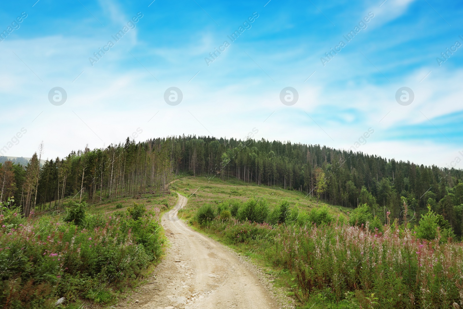 Photo of Picturesque landscape with pathway in mountains