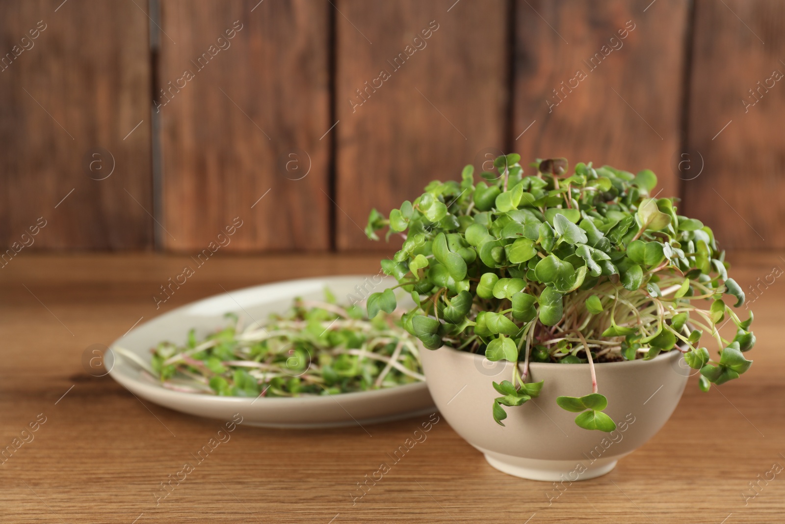 Photo of Fresh radish microgreens in bowl on wooden table, space for text