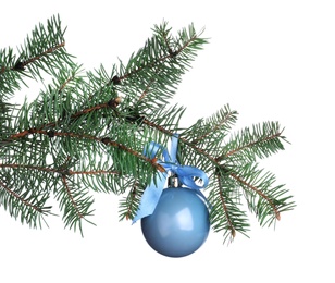 Photo of Light blue shiny Christmas ball on fir tree branch against white background