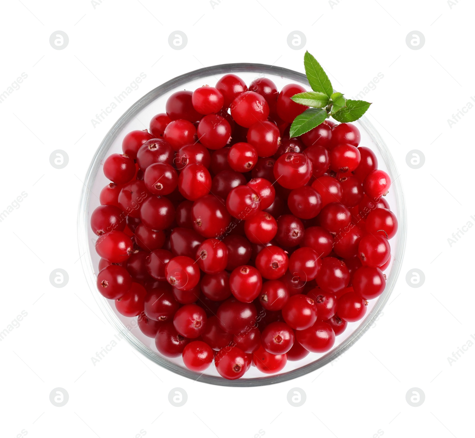 Photo of Fresh ripe cranberries with leaves in bowl isolated on white, top view