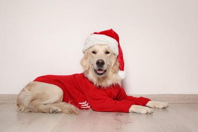 Cute dog in warm sweater and Christmas hat on floor