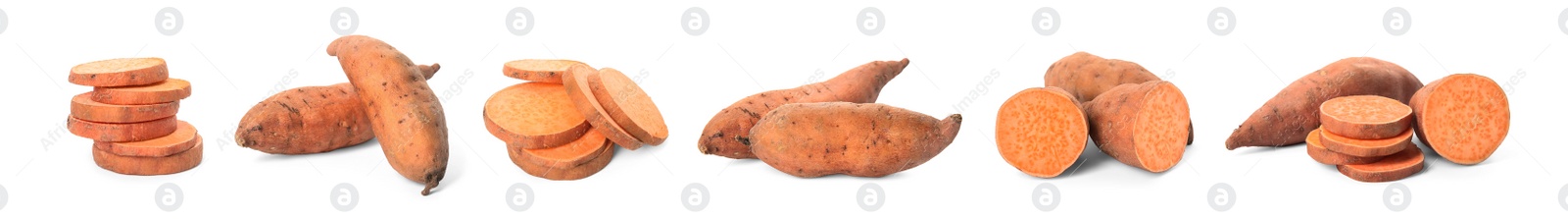 Image of Set with fresh sweet potatoes on white background. Banner design