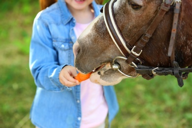Cute little girl feeding her pony with carrot in green park, closeup