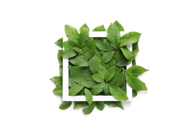 Photo of Composition with green leaves on white background, top view