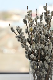 Photo of Beautiful pussy willow branches in glass vase near window indoors, closeup