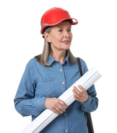 Photo of Architect in hard hat with draft and tube on white background