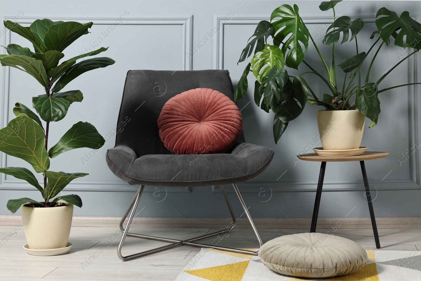 Photo of Comfortable armchair, pillows and green houseplants indoors