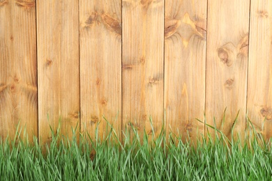 Photo of Fresh green grass near wooden fence. Space for text