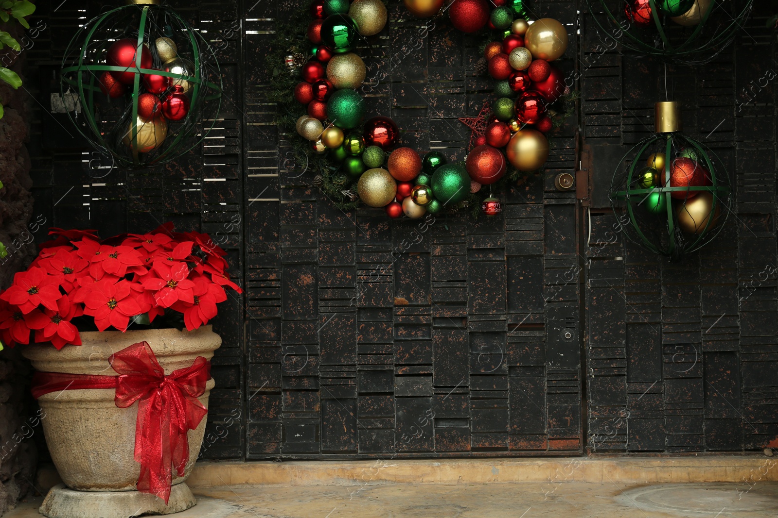 Photo of Christmas traditional poinsettia flower and wreath with colorful baubles near entrance outdoors. Festive street decorations