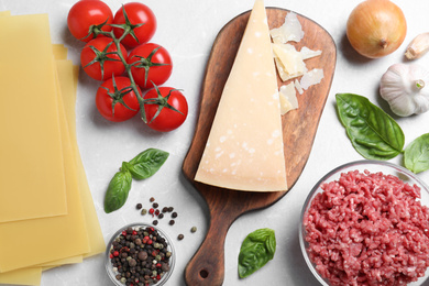 Photo of Fresh ingredients for lasagna on light grey marble table, flat lay