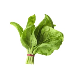 Bundle of fresh spinach isolated on white