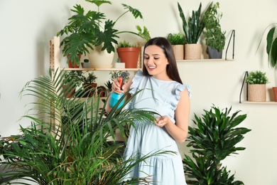 Photo of Smiling woman spraying indoor plants at home