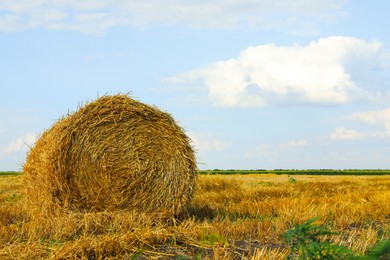 Beautiful view of agricultural field with hay bale