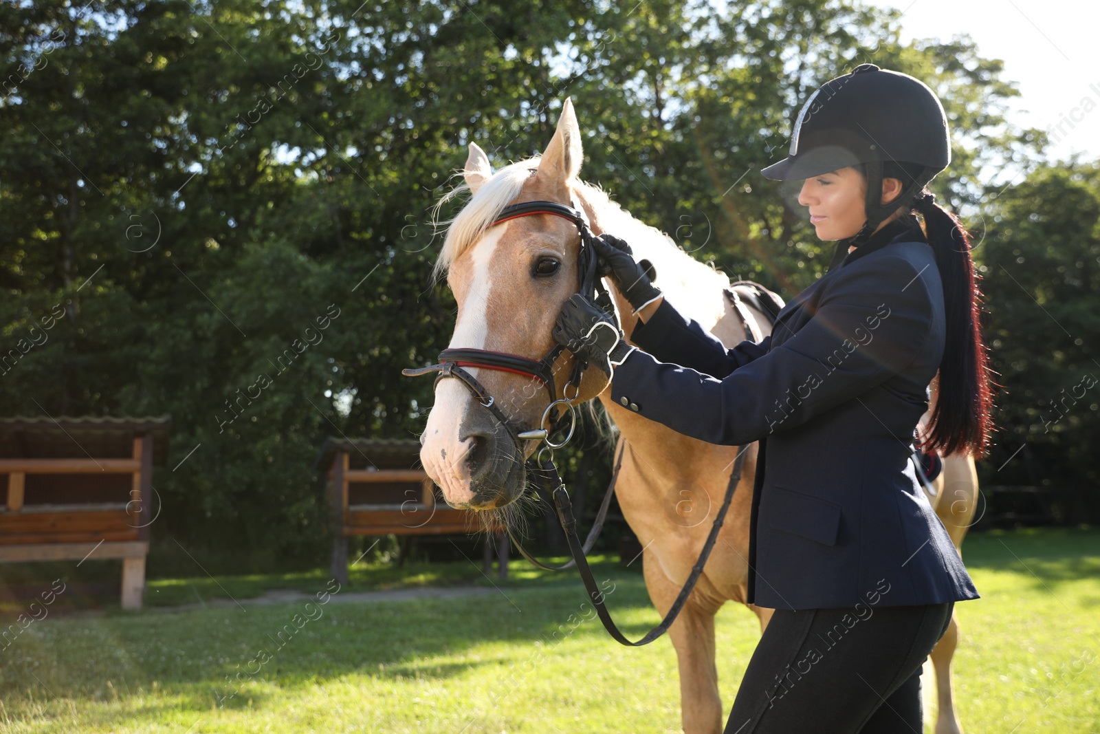 Photo of Young woman in horse riding suit and her beautiful pet outdoors on sunny day