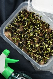 Photo of Microgreens growing kit. Sprouted sunflower seeds in container and spray bottle on table, flat lay