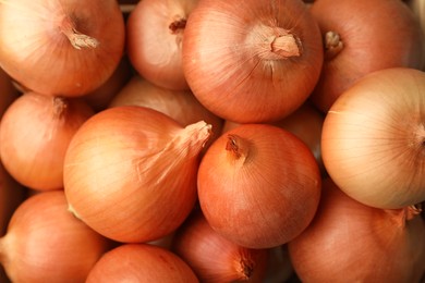 Many ripe onion bulbs as background, closeup