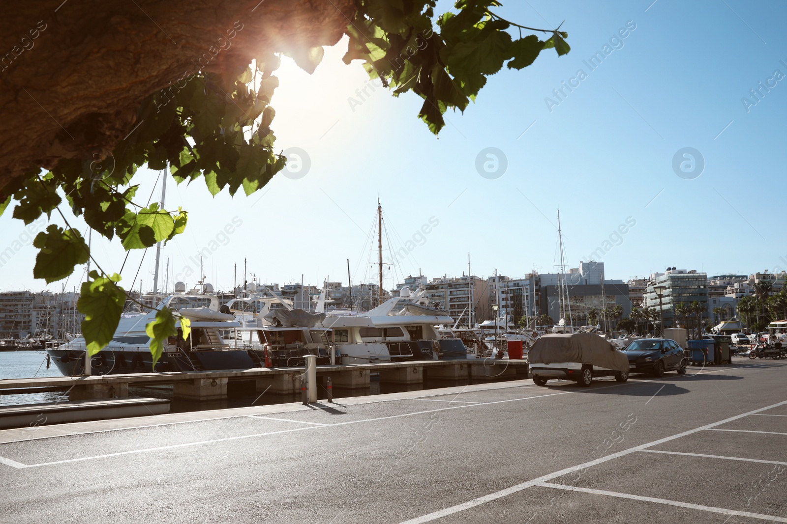 Photo of Picturesque view of port with modern boats on sunny day