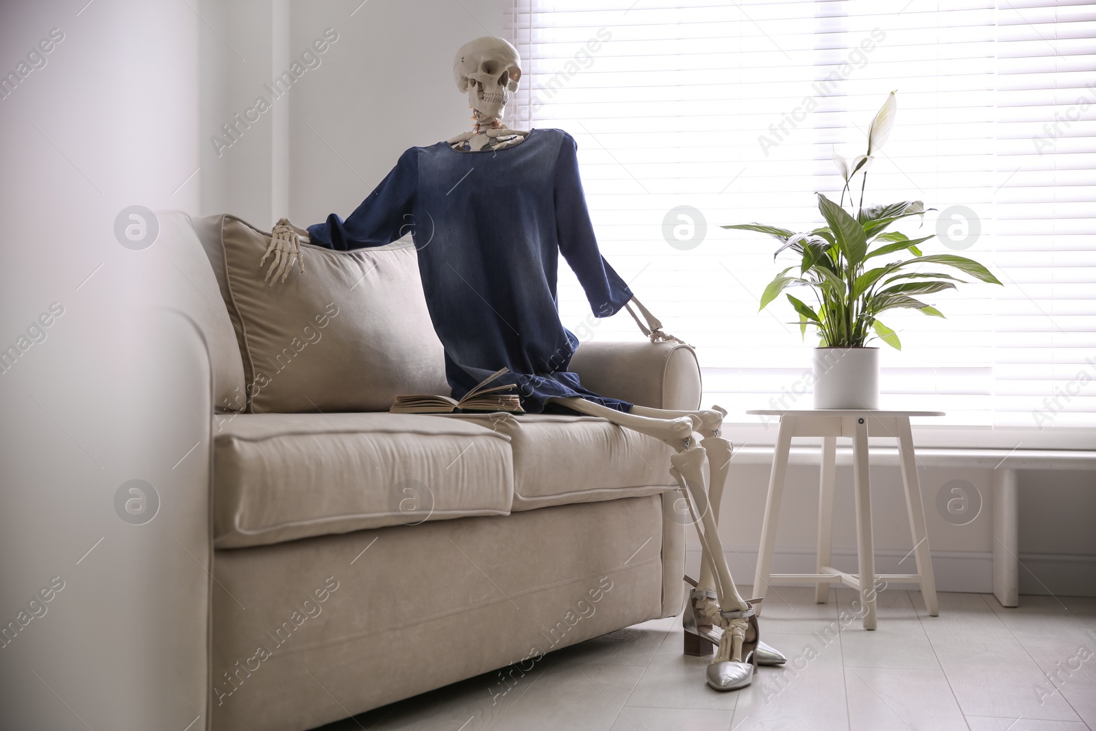 Photo of Human skeleton with book on sofa indoors