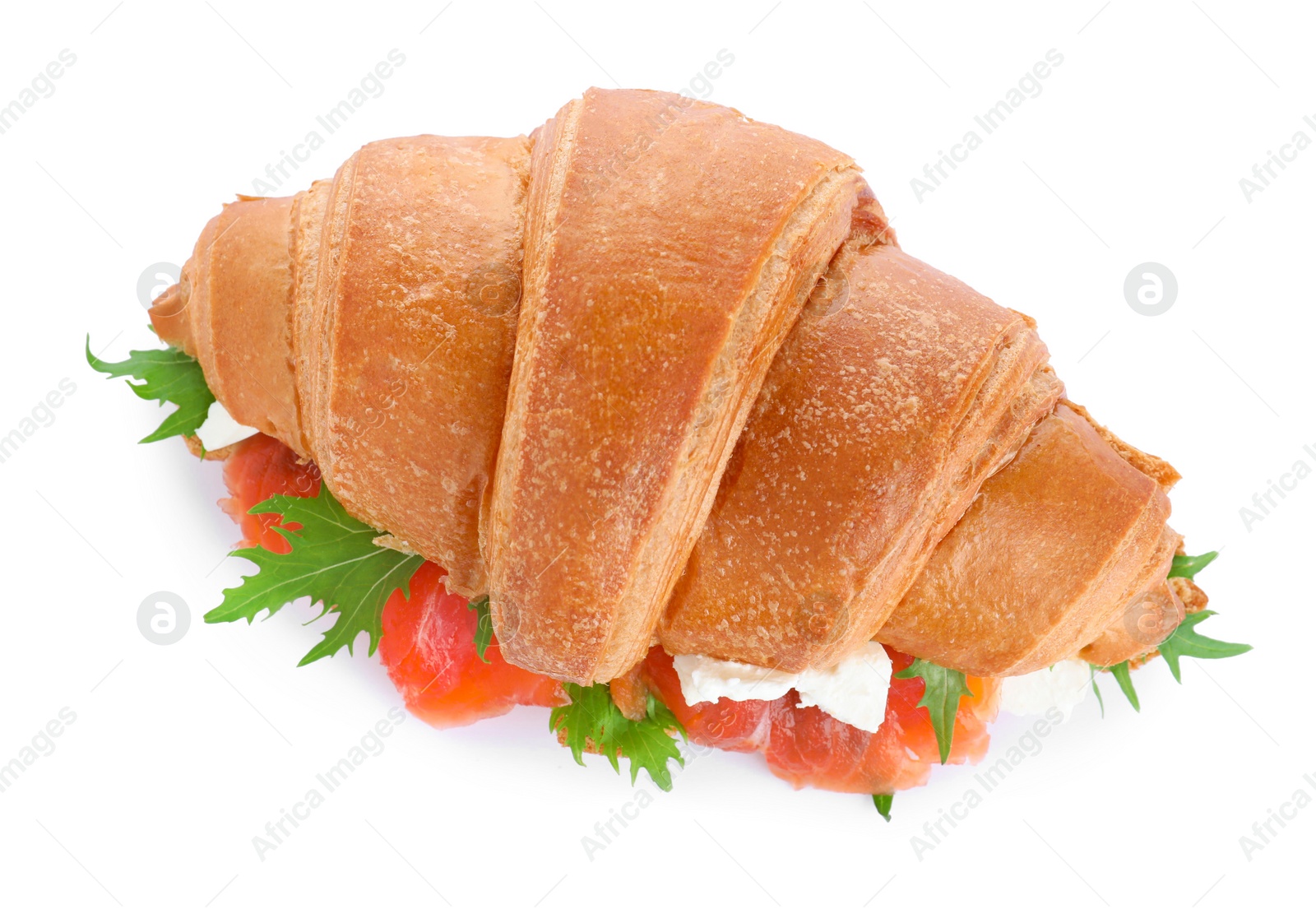 Photo of Tasty croissant sandwich with red fish isolated on white, top view