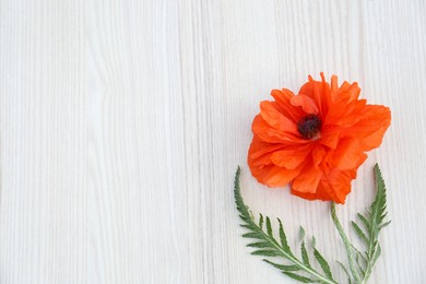Beautiful bright red poppy flower on white wooden background, top view. Space for text