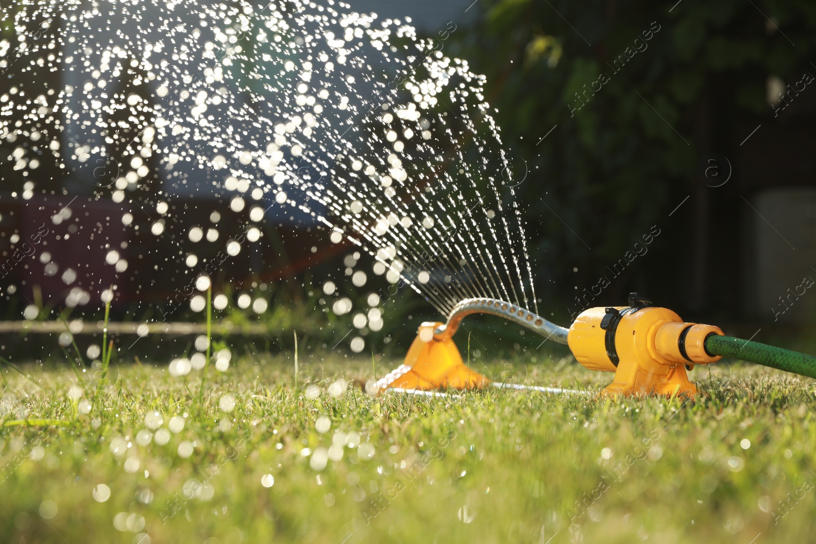 Photo of Automatic sprinkler watering green grass on sunny day in garden. Irrigation system