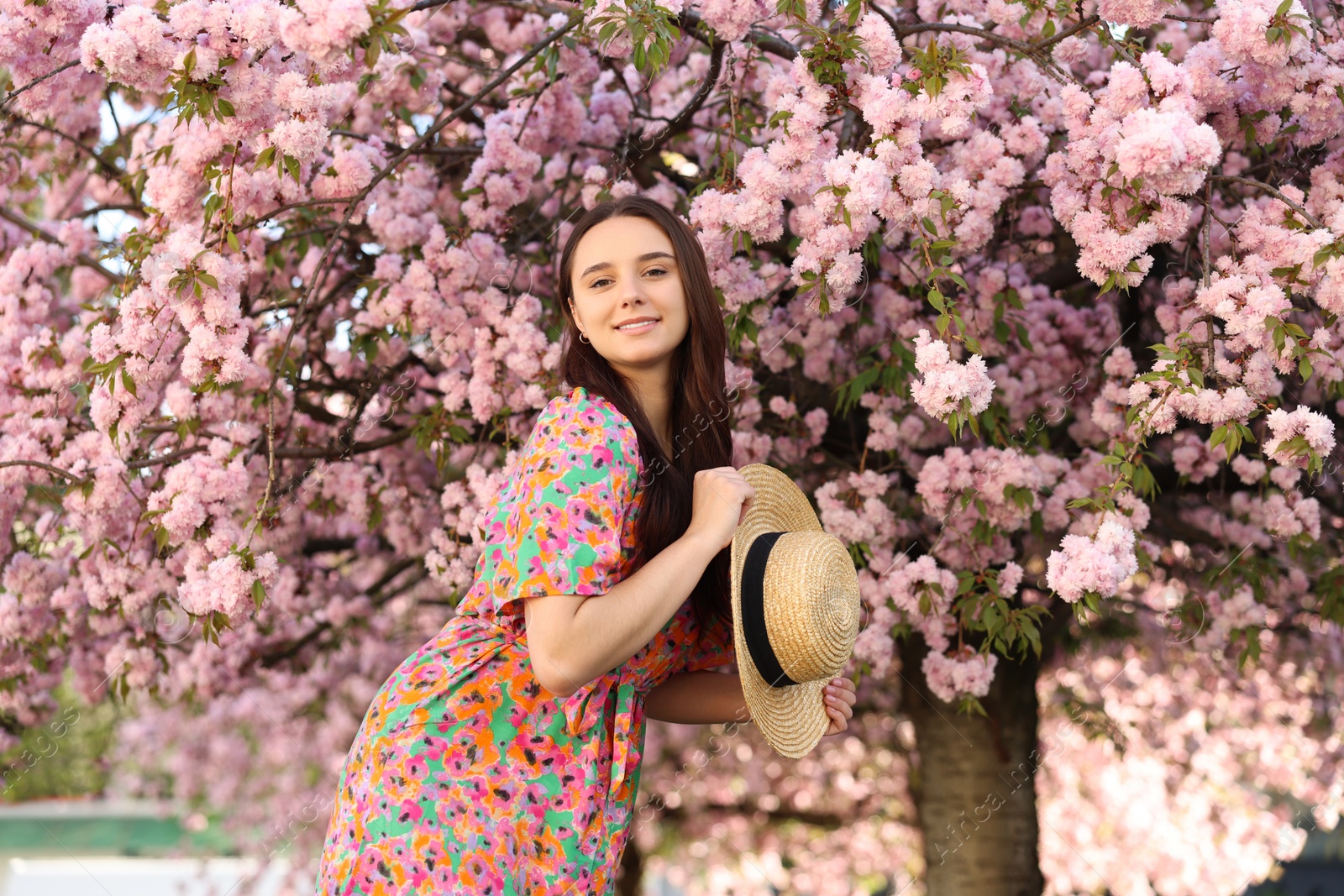 Photo of Beautiful woman with straw hat near blossoming tree on spring day