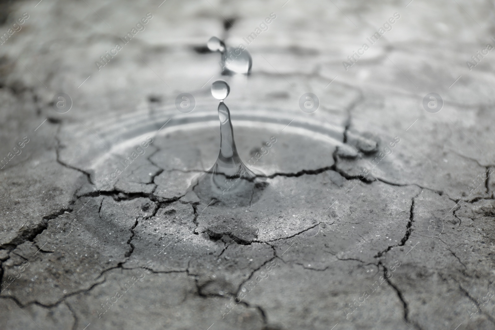 Image of Save environment. Water drops falling on dry cracked land, black and white effect