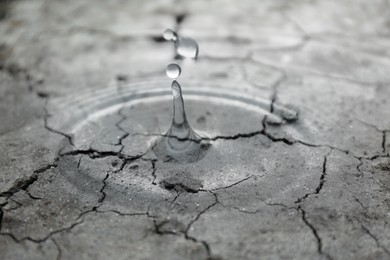 Image of Save environment. Water drops falling on dry cracked land, black and white effect