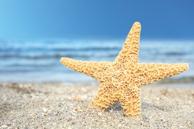 Photo of Beautiful starfish on sand near sea. Beach object