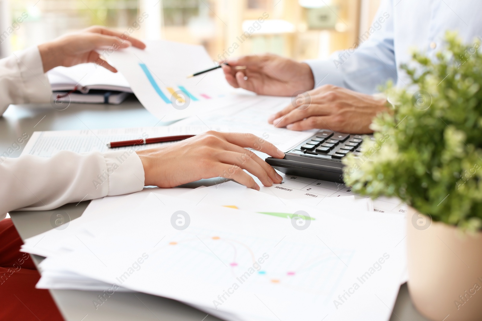 Photo of Tax accountants working with documents at table