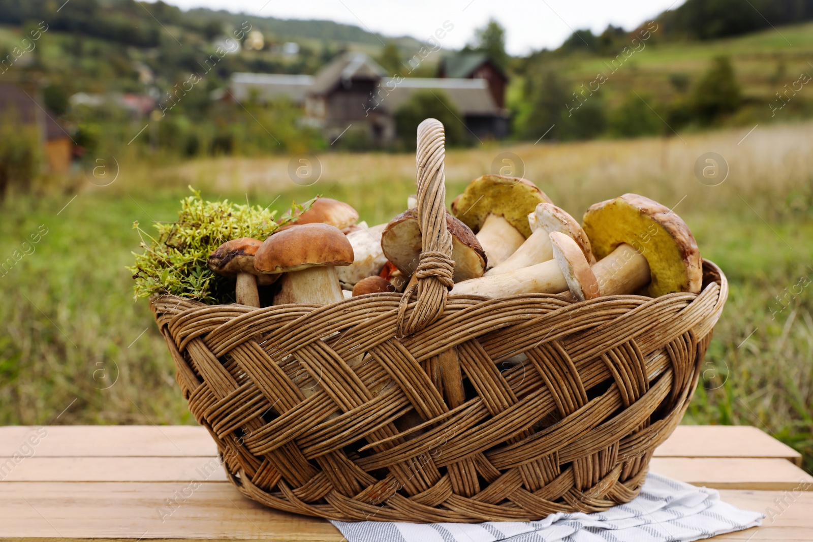 Photo of Wicker basket with fresh wild mushrooms on wooden table outdoors