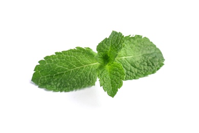 Photo of Fresh green mint leaves on white background