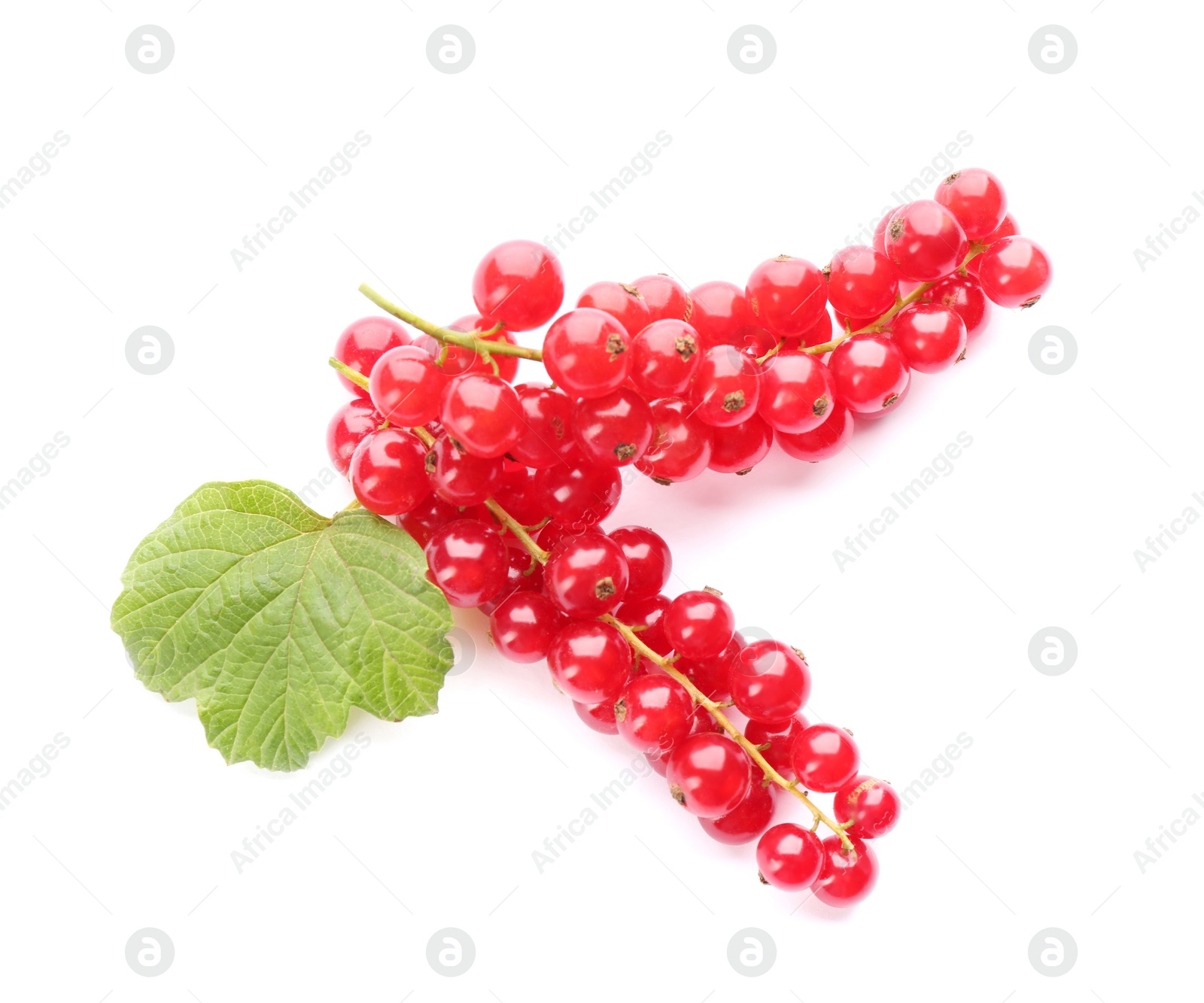 Photo of Delicious ripe red currants isolated on white, top view