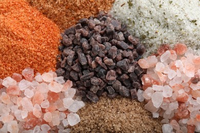Photo of Different kinds of salt as background, top view